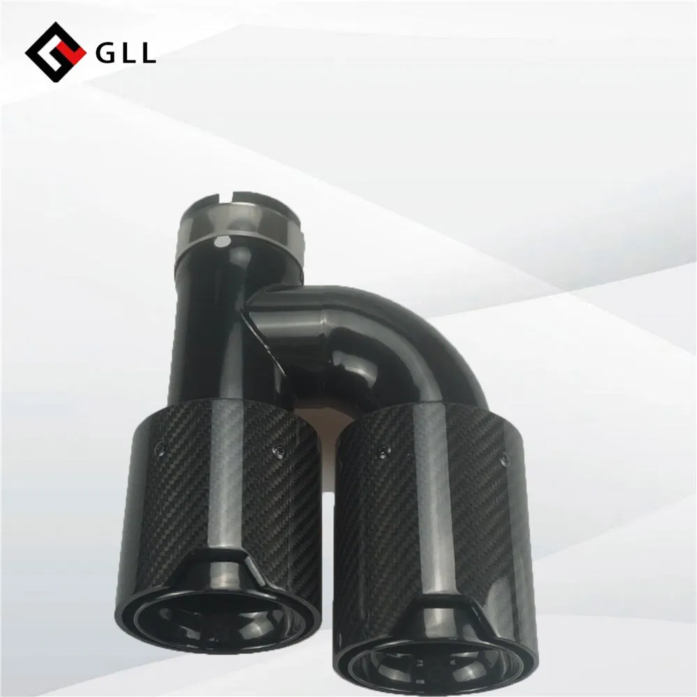 Carbon Fiber Exhaust Muffler Tip H-Shape Double Exit Decoration Universal Stainless Compatible