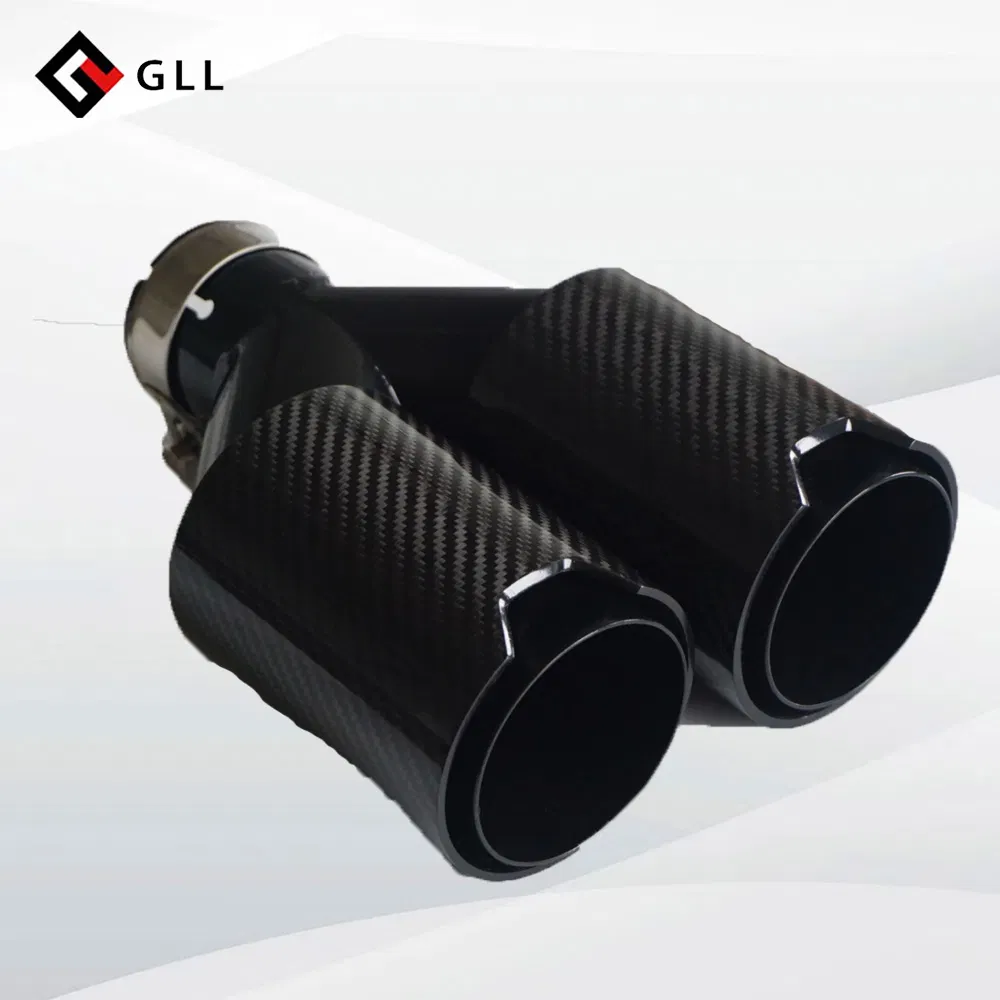 Carbon Fiber Exhaust Muffler Tip H-Shape Double Exit Decoration Universal Stainless Compatible