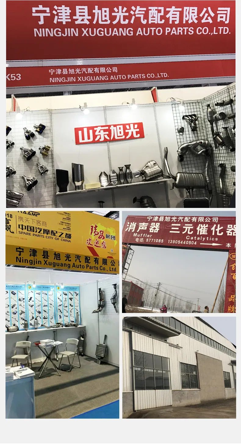 Factory Supply Ceramic/Metal Core Universal Catalytic Converter