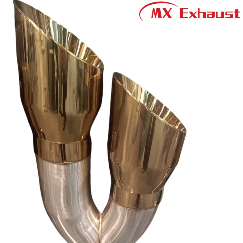 Universal Twin Exhaust Pipes AISI 304 Stainless Steel Chrome Black Finish 2.5'' Tail Pipe Muffler for BMW Truck