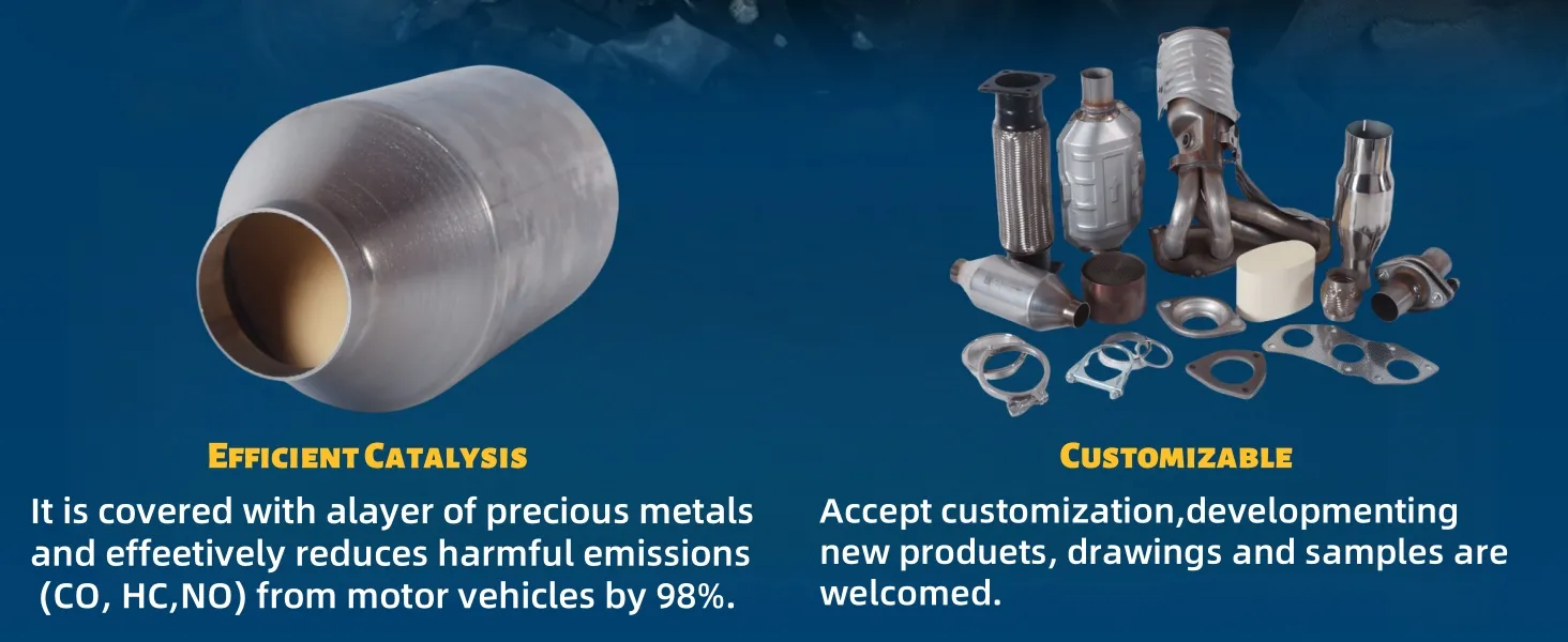 Catalytic Converter Display 4