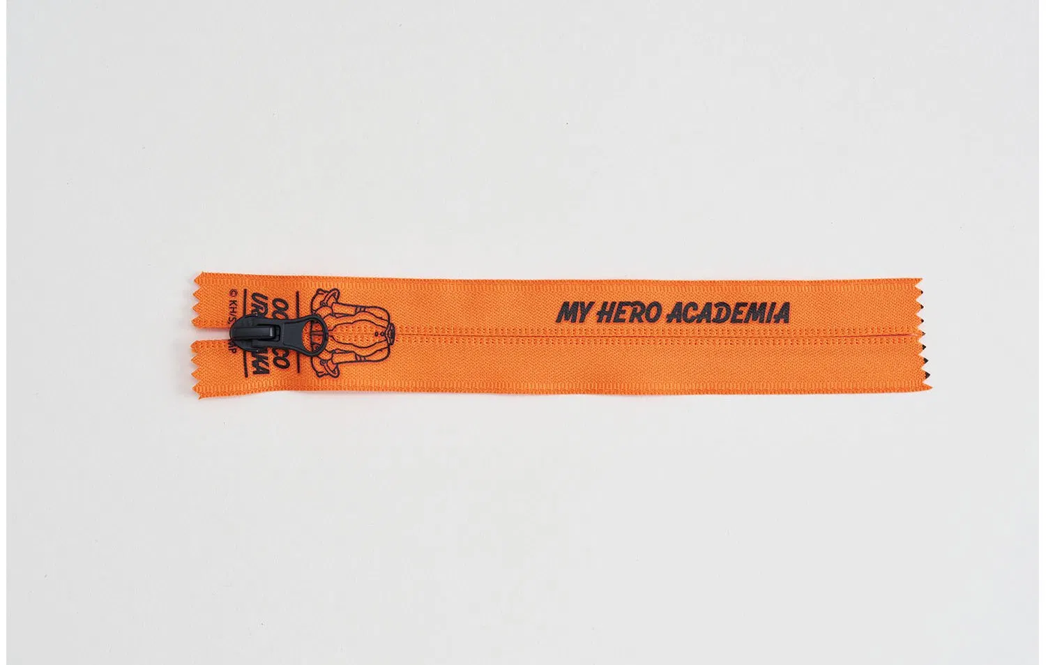 Zipper Detail 1