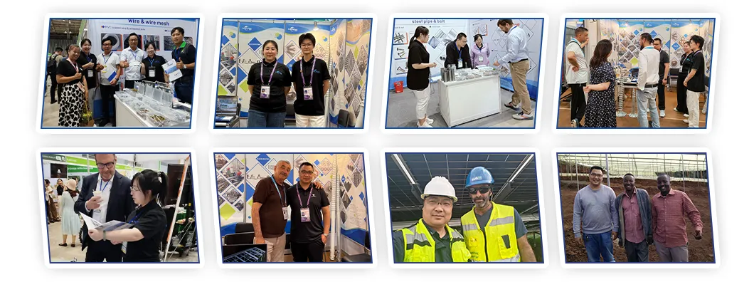 Presença em Exposições