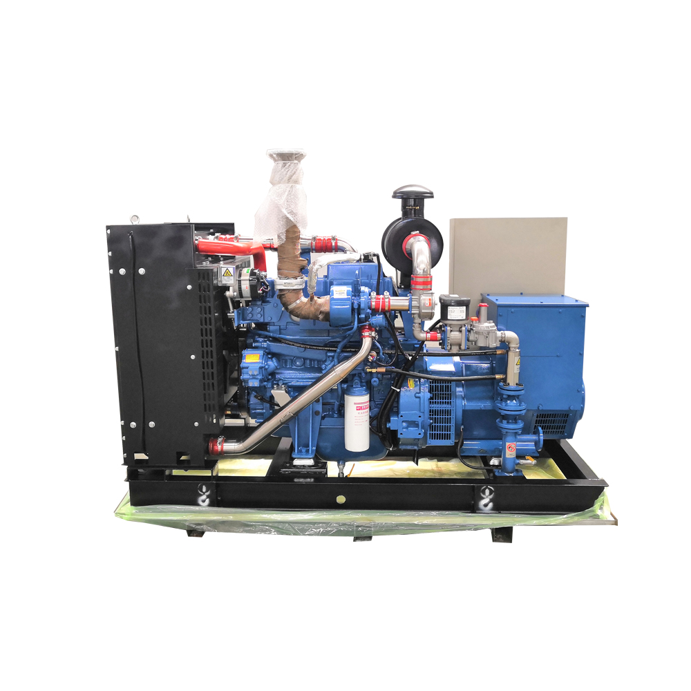 15 kW 20 kW 30 kW 40 kW 50 kW 60kW 50/60 HZ Biogas Generator Set