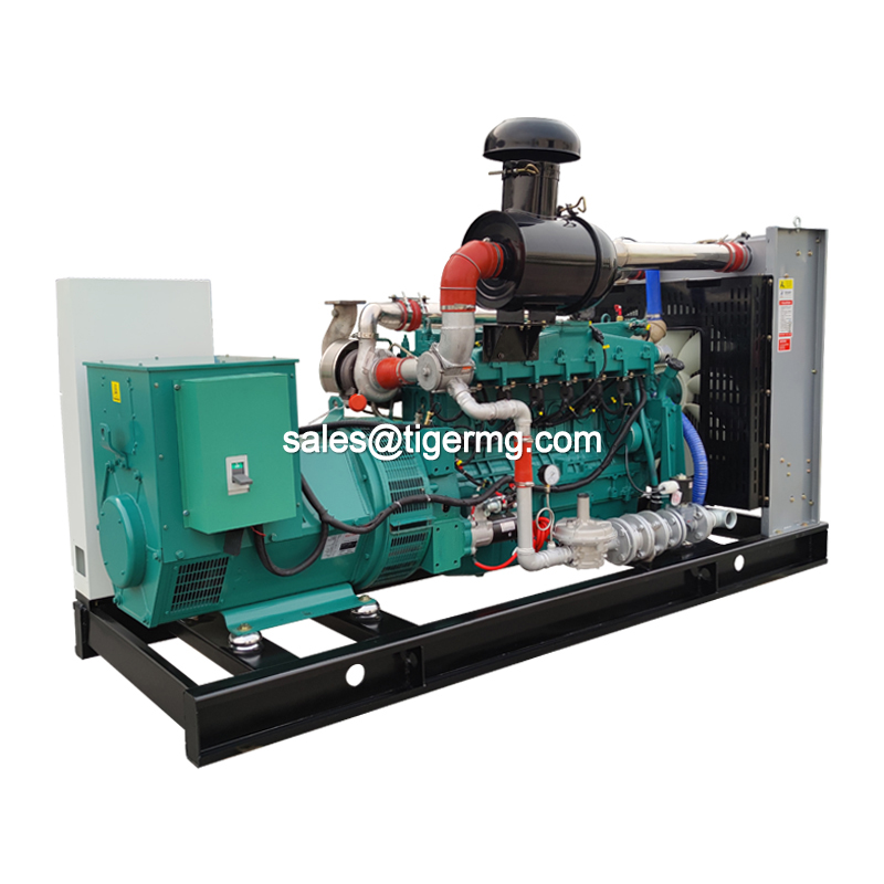 20KW 30KW 50KW 100KW 150KW 200KW 300KW 400KW 500KW Natural Gas Biogas CNG LNG Methane Generator CHP Biogas Purification