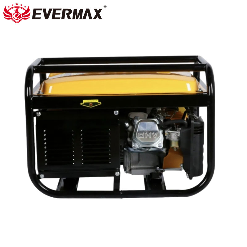 Multi-Fuel 5kw Dual Petrol Generator for Events with GS/Reach
