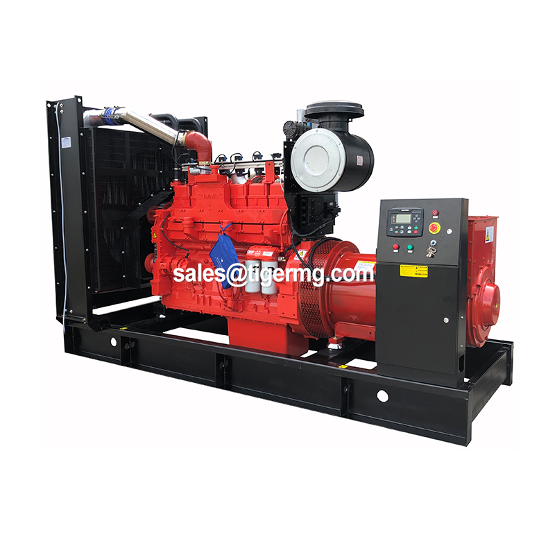 20kw-3000kw Natural Gas Electric Power Generation Generator with Cummins Biogas System Mini Equipment for Cow Farm Industrial