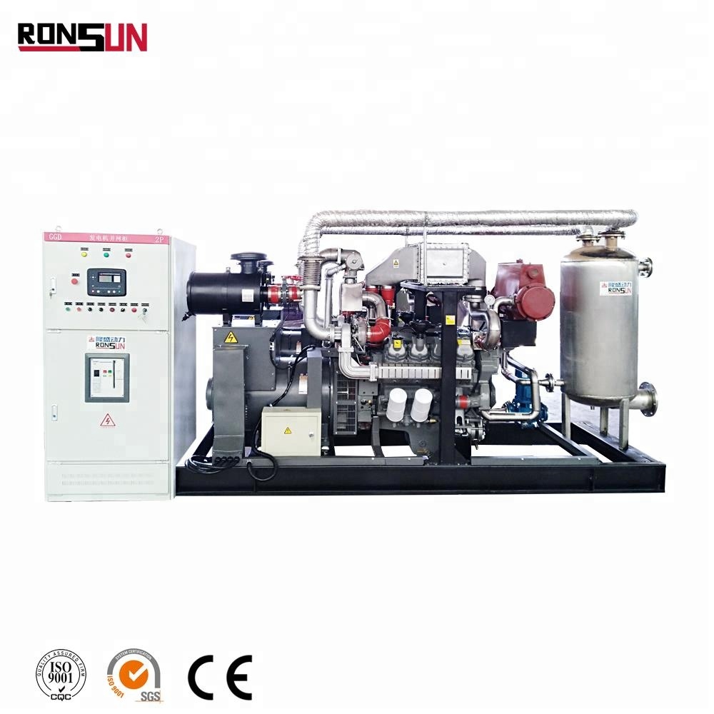 Small 250KW Natural Gas Power Generator Price for Sale