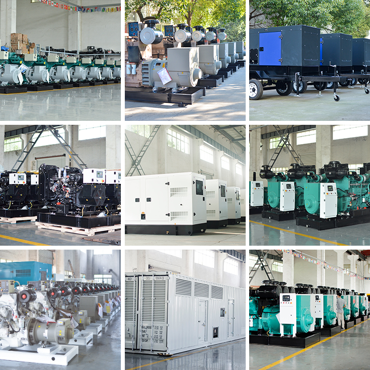 Active field diesel generator project installation