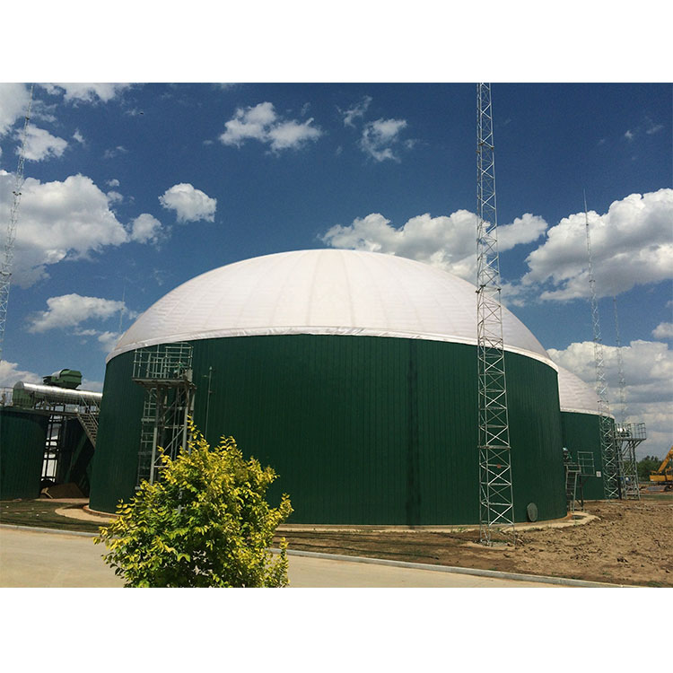 Mini 10 kw Biogas Power Plant System Small Efficient Biogas Plant
