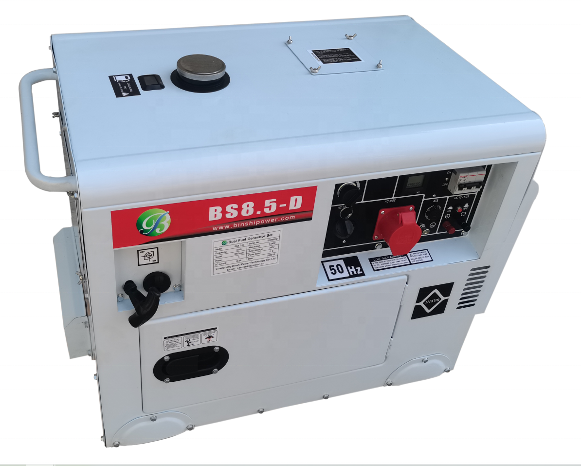 Portable Dual Fuel Generator For Home Use Start Auto LPG LNG Gas Dual Fuel Generator For Syngas Biogas