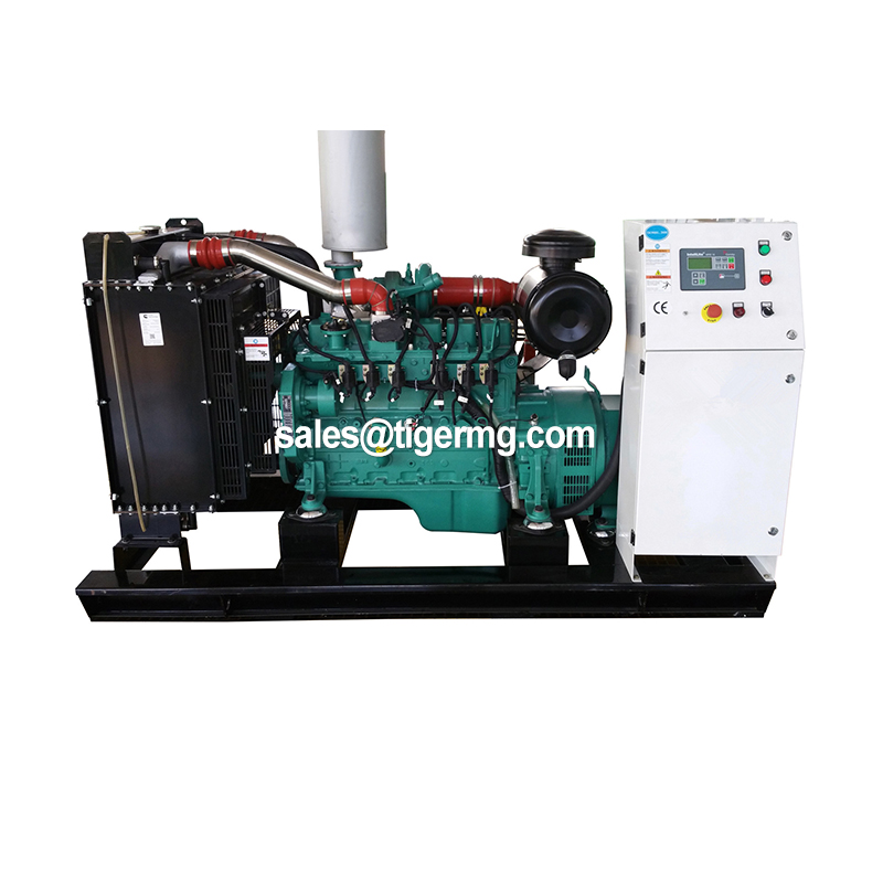 20kw-3000kw Natural Gas Electric Power Generation Generator with Cummins Biogas System Mini Equipment for Cow Farm Industrial