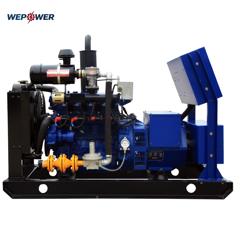 Home Use Lpg Gas Generator 20kw Compact Efficient LPG/Biogas/Natural Gas Turbine Generator Set with 400V/230V Output