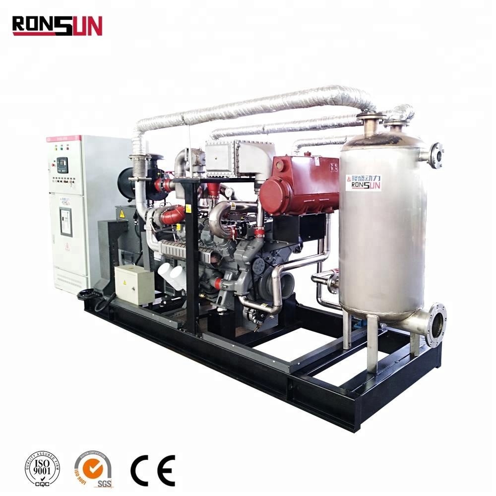 Small 250KW Natural Gas Power Generator Price for Sale