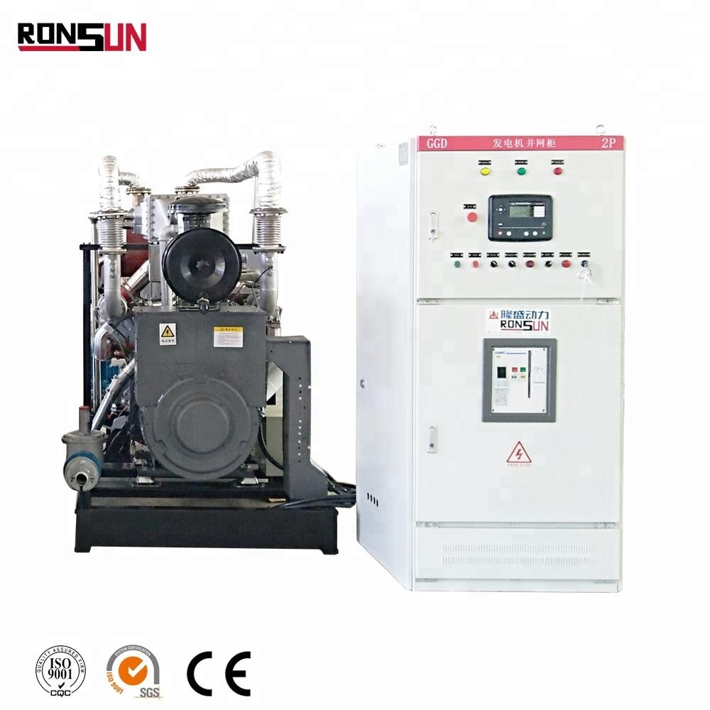 Small 250KW Natural Gas Power Generator Price for Sale
