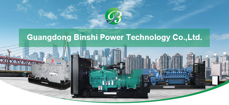 Diesel Generator Set