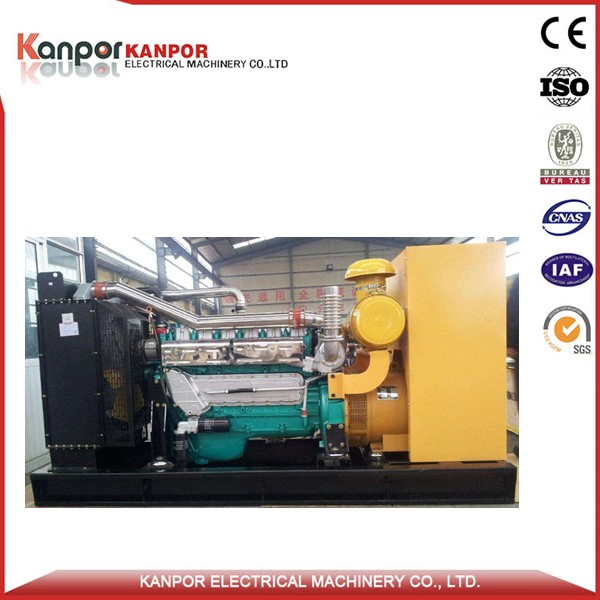 Kanpor 560kw 700kVA LPG Power Generator Set with Good Quality