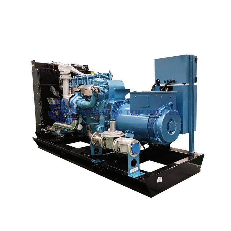 Clean Energy Biogas Generator with 95% Efficiency for Natural Gas Syngas