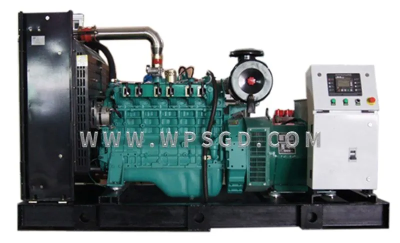 Natural Gas Generator Set