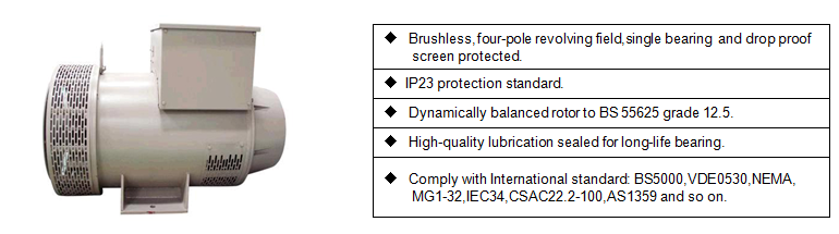 Alternator Equipment copper brushless