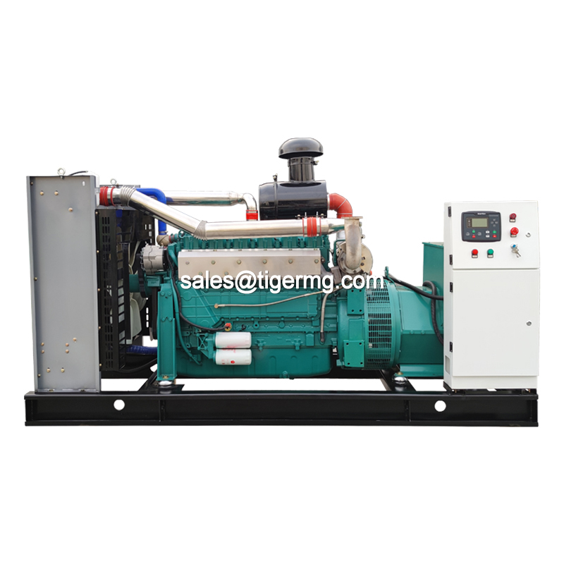 20KW 30KW 50KW 100KW 150KW 200KW 300KW 400KW 500KW Natural Gas Biogas CNG LNG Methane Generator CHP Biogas Purification