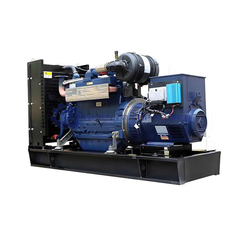 Clean Energy Biogas Generator with 95% Efficiency for Natural Gas Syngas
