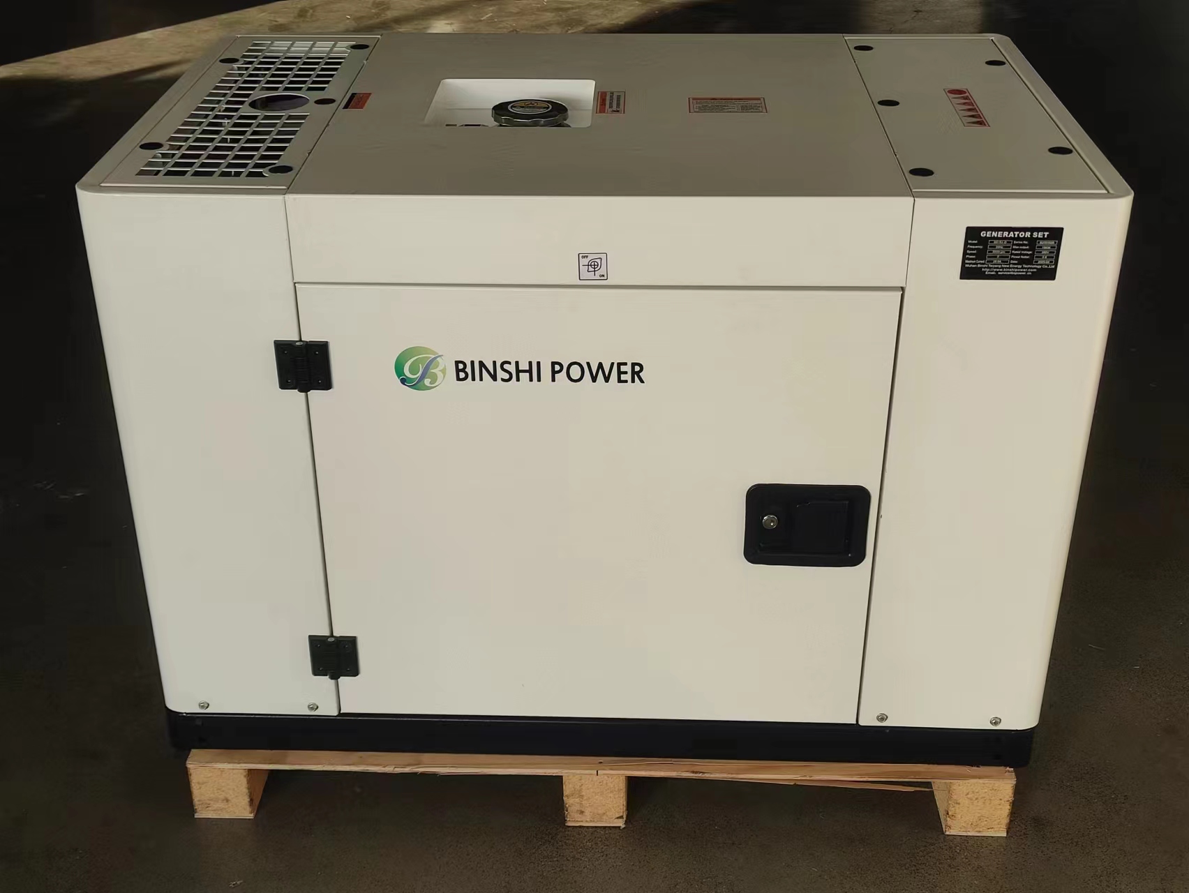 BS Power 15KW 20 KW 30KW Dual Fuel Generator Set Gasoline LPG NG CNG Gas Generator Set