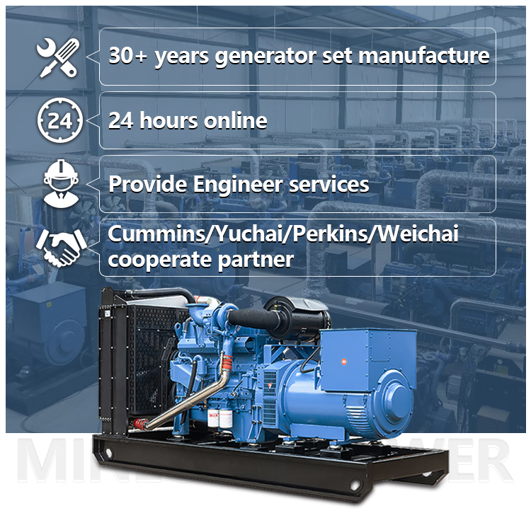 Natural Gas Generator
