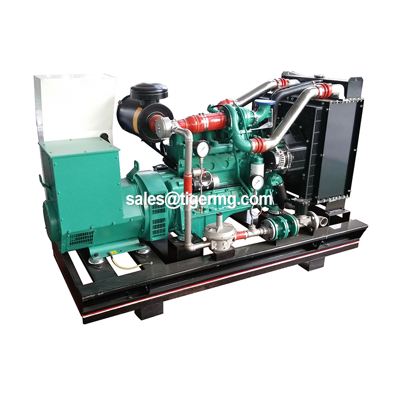 20kw-3000kw Natural Gas Electric Power Generation Generator with Cummins Biogas System Mini Equipment for Cow Farm Industrial