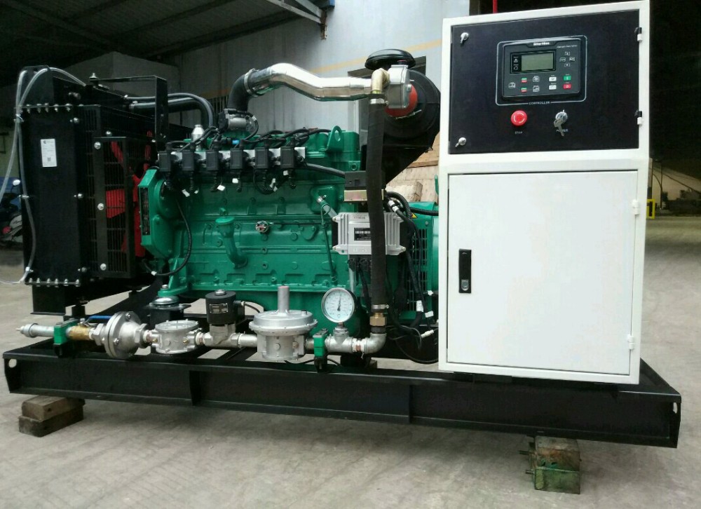 Methane Gas/ Natural Gas/LPG Gas Gesnet Open Frame 20kw Biogas Generator Set