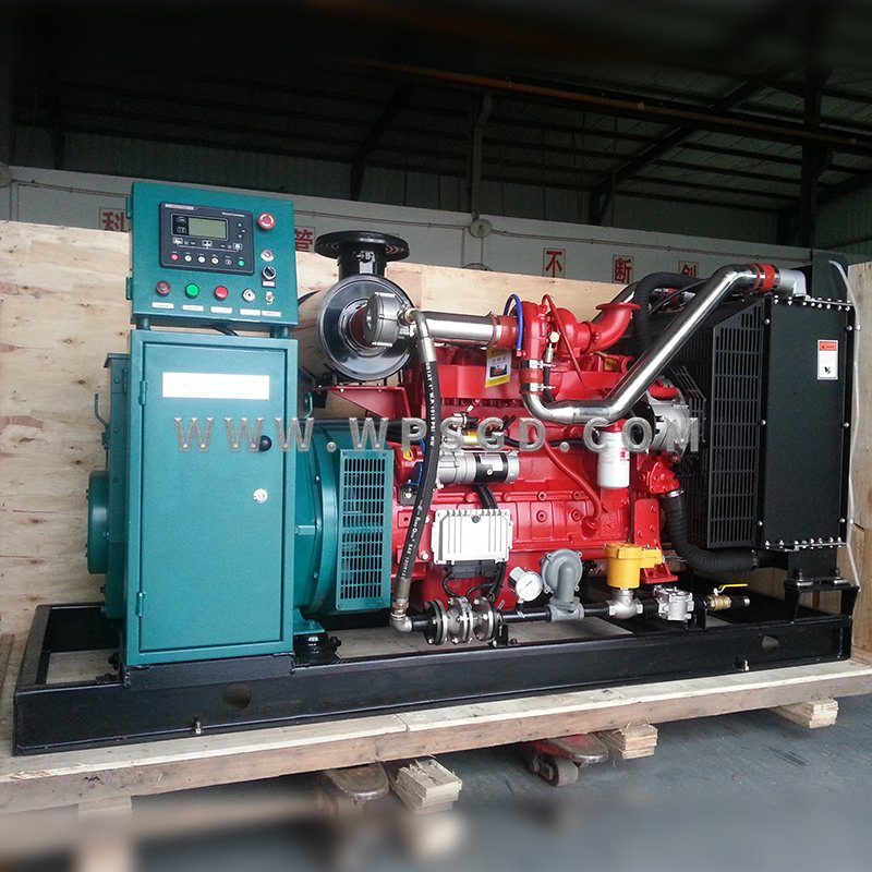 China Natural Gas/Biomass/LPG/CNG/Biomass/Hydrogen/Factory/Syngas/Wood Gas Generator Set Manufacturer with Deutz/Steyr/Cummins Engine for Power Plant