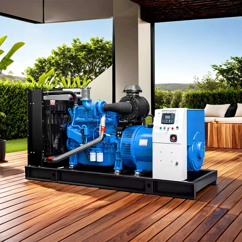 Factory Direct Sale Biogas Generator Set 10-200kW for Farm, Waste Treatment and Power Generation
