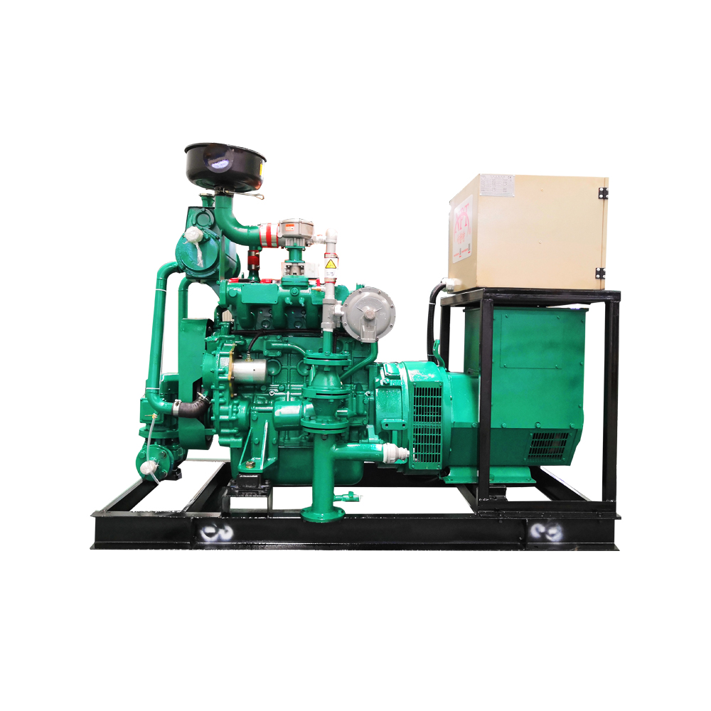 15 kW 20 kW 30 kW 40 kW 50 kW 60kW 50/60 HZ Biogas Generator Set