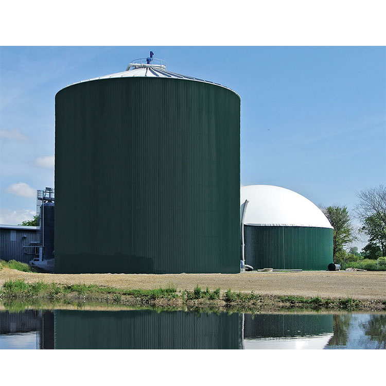 Mini 10 kw Biogas Power Plant System Small Efficient Biogas Plant