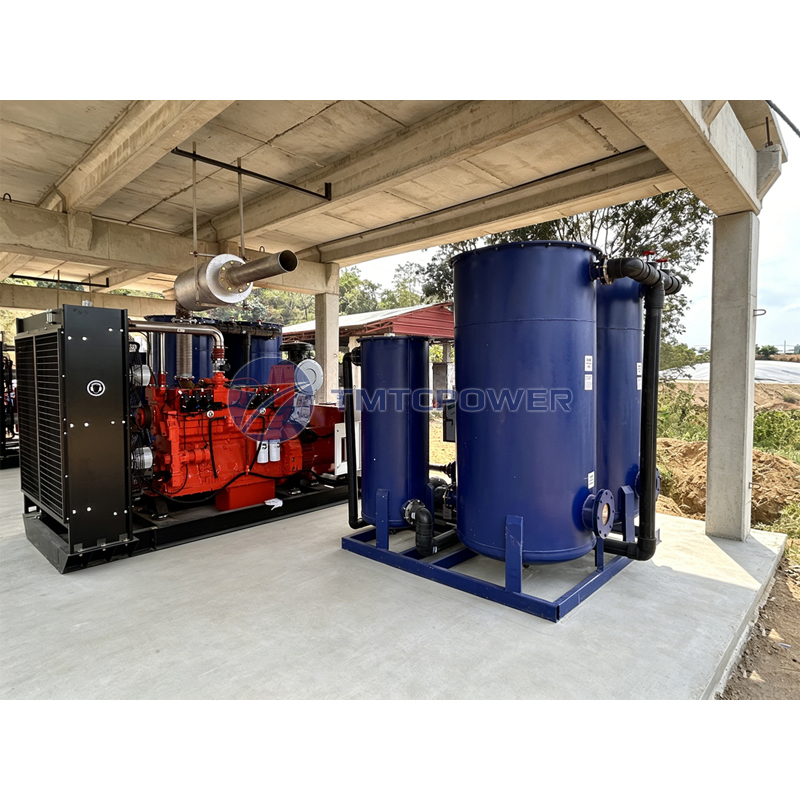 Combined Heat And Power Biogas Generator Cogeneration