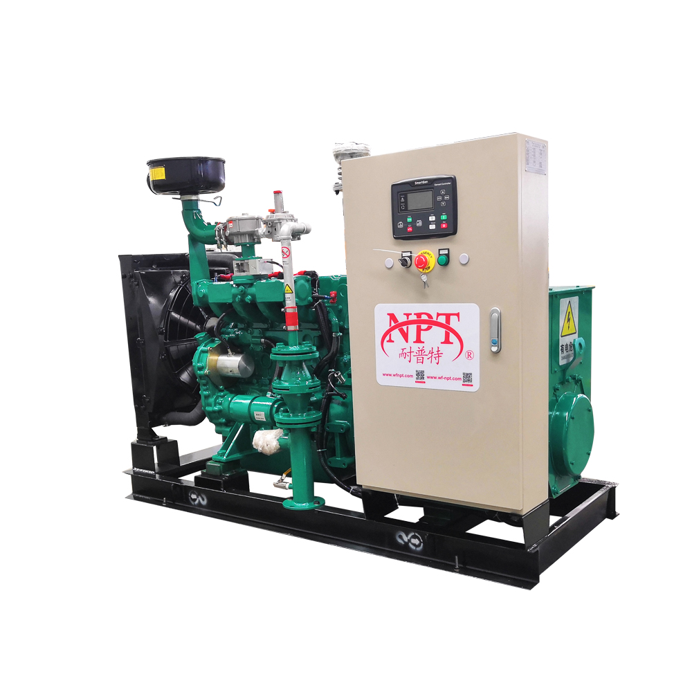 15 kW 20 kW 30 kW 40 kW 50 kW 60kW 50/60 HZ Biogas Generator Set