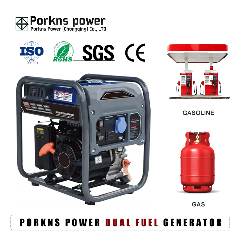 Porkns 5.5 kVA 7kVA 20 Kw 30kVA Dual Fuel Portable LPG Ng Gas Powered Generator Set for Small Workshops