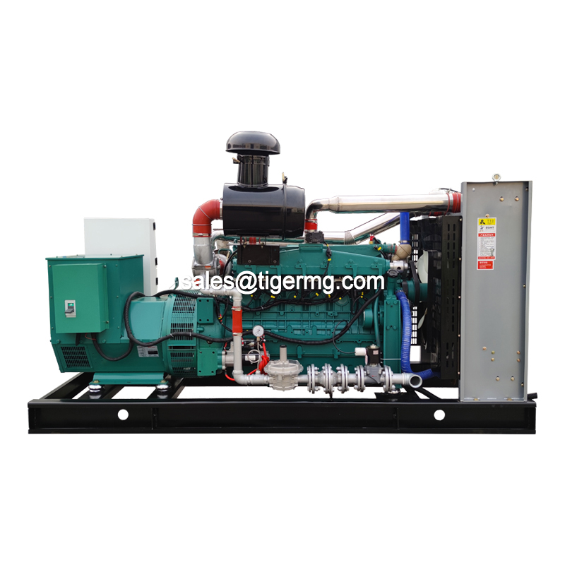 20KW 30KW 50KW 100KW 150KW 200KW 300KW 400KW 500KW Natural Gas Biogas CNG LNG Methane Generator CHP Biogas Purification