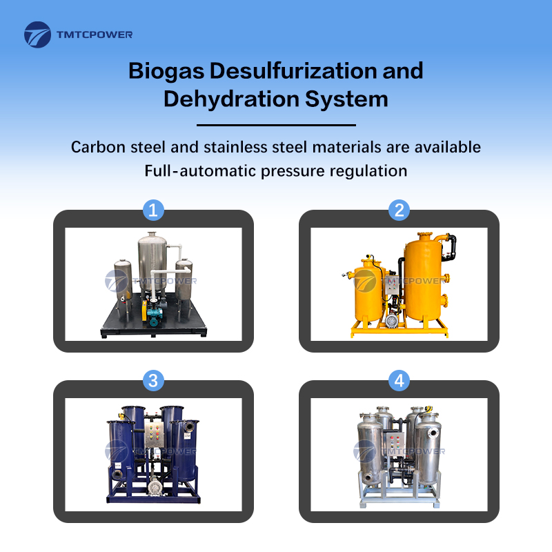 Combined Heat And Power Biogas Generator Cogeneration