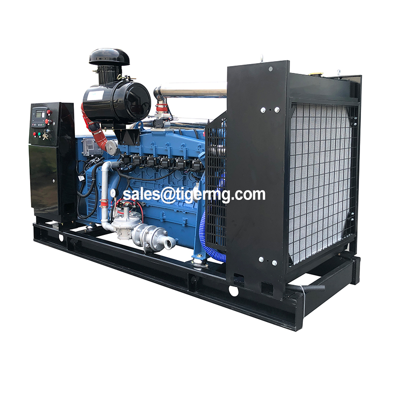 20KW 30KW 50KW 100KW 150KW 200KW 300KW 400KW 500KW Natural Gas Biogas CNG LNG Methane Generator CHP Biogas Purification