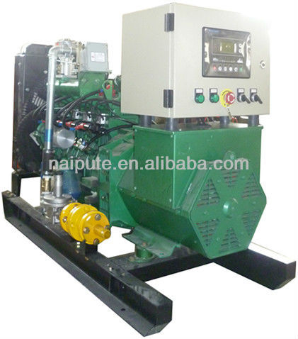 Biogas Generator 10kW