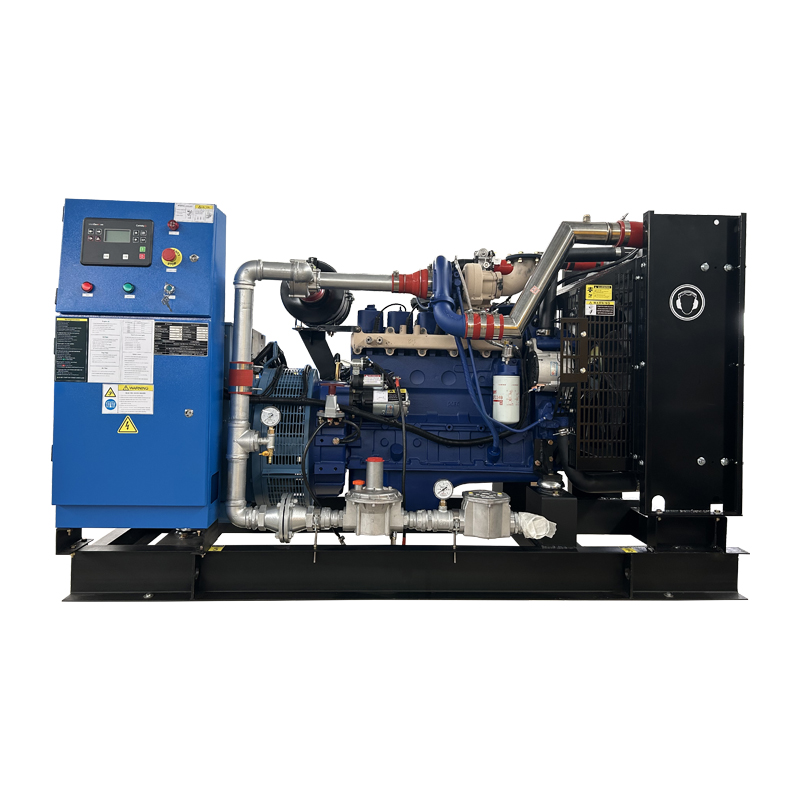 20KW 30KW 50KW 100KW 150KW 200KW 300KW 400KW 500KW Natural Gas Biogas CNG LNG Methane Generator CHP Biogas Purification
