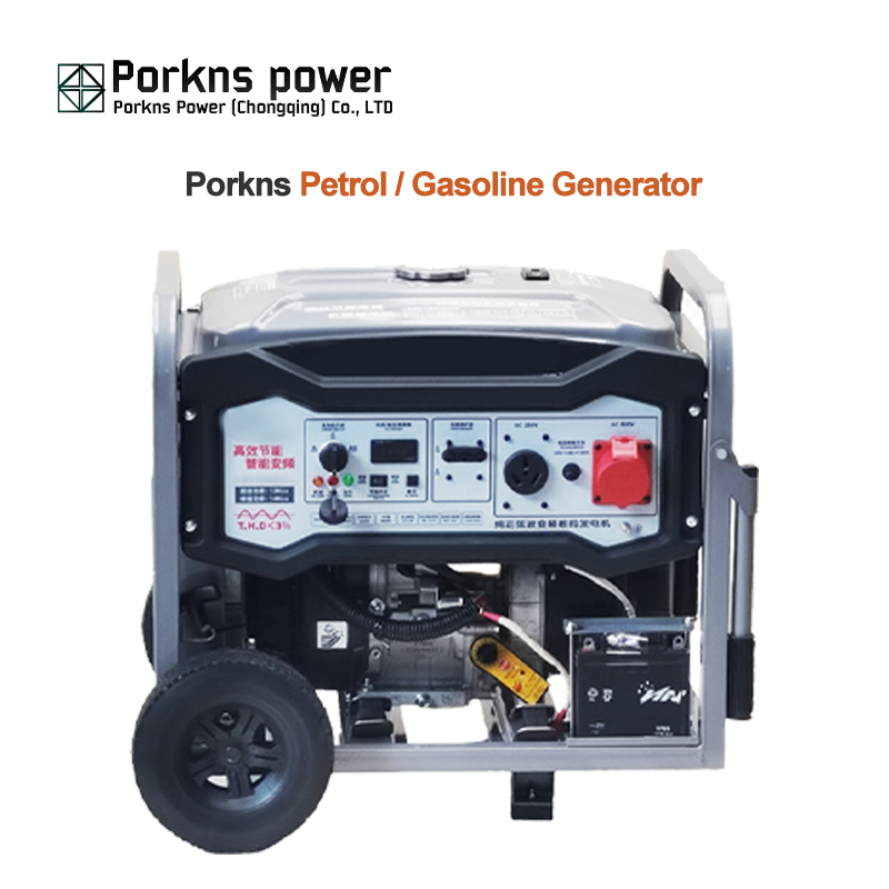 Porkns 5.5 kVA 7kVA 20 Kw 30kVA Dual Fuel Portable LPG Ng Gas Powered Generator Set for Small Workshops