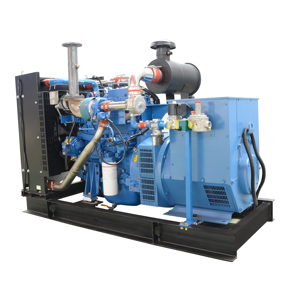15 kW 20 kW 30 kW 40 kW 50 kW 60kW 50/60 HZ Biogas Generator Set