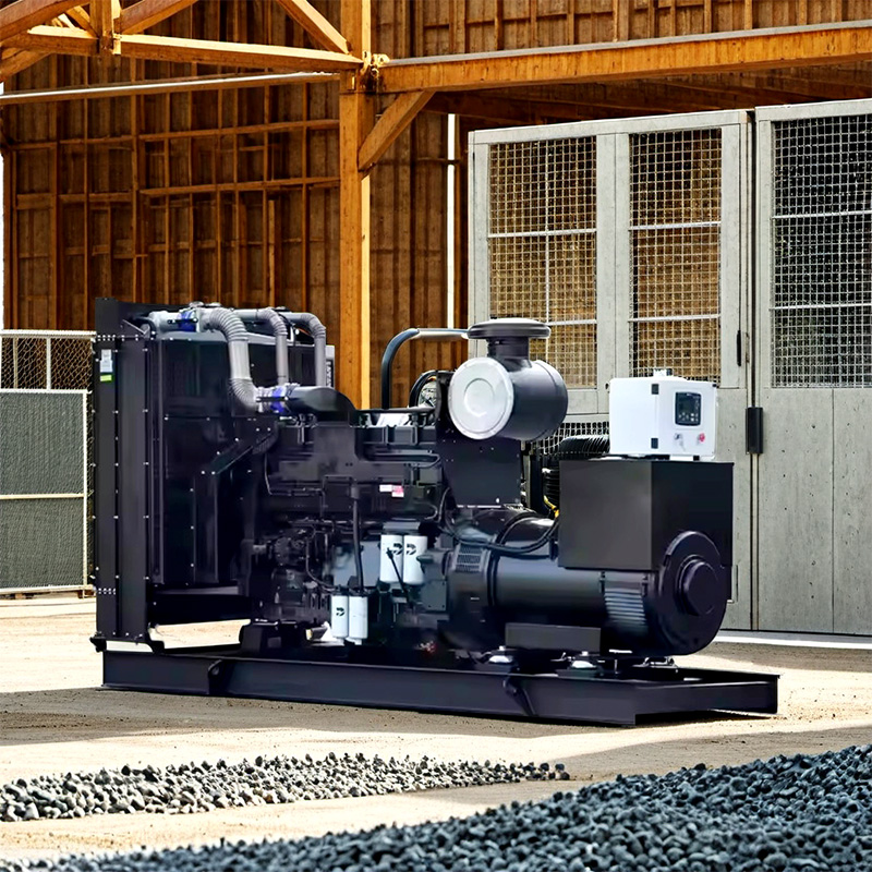 Factory Direct Sale Biogas Generator Set 10-200kW for Farm, Waste Treatment and Power Generation