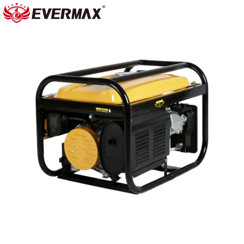 Multi-Fuel 5kw Dual Petrol Generator Detail 3