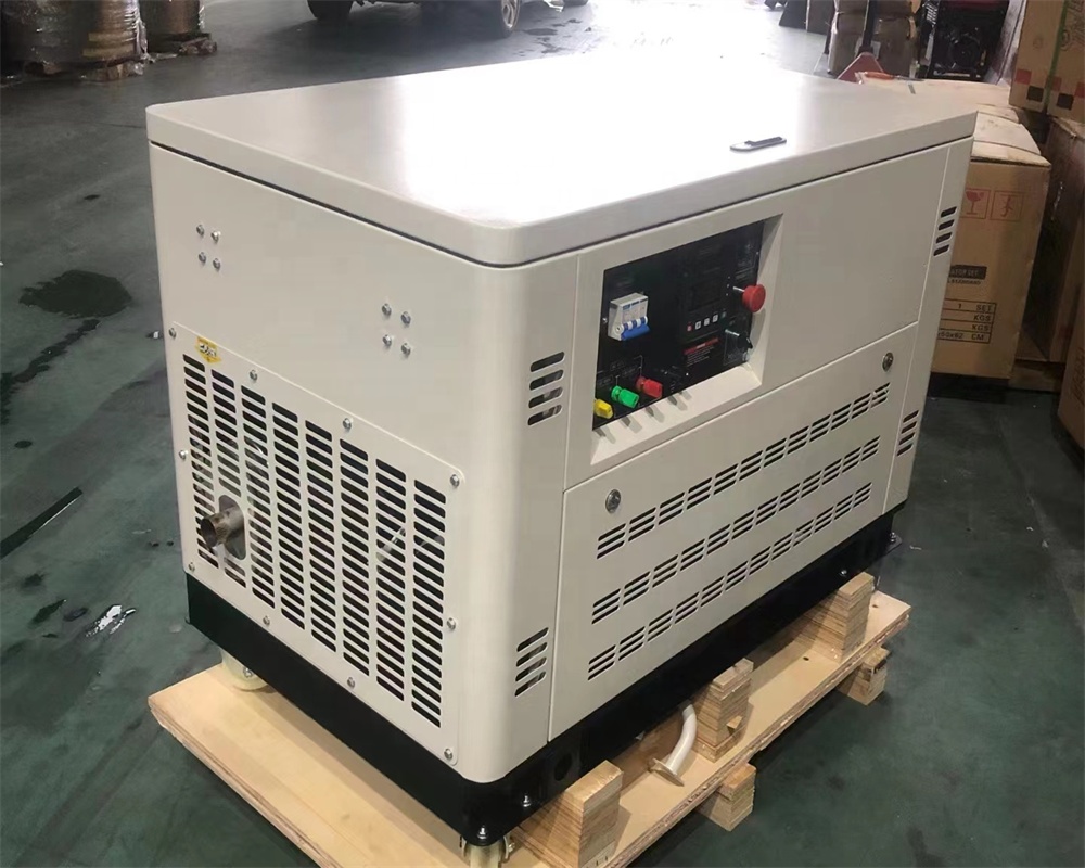 Portable Dual Fuel Generator For Home Use Start Auto LPG LNG Gas Dual Fuel Generator For Syngas Biogas