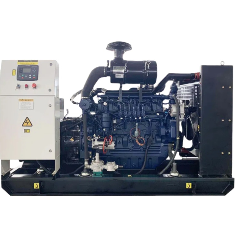 1100kw Natural Biogas Biomass LPG CNG Propane Methane Hydrogen Power Plant Dual Fuel Sewage Coke Syngas Wood Gas Generator Set