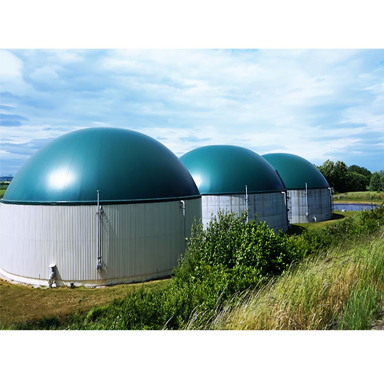 Mini 10 kw Biogas Power Plant System Small Efficient Biogas Plant