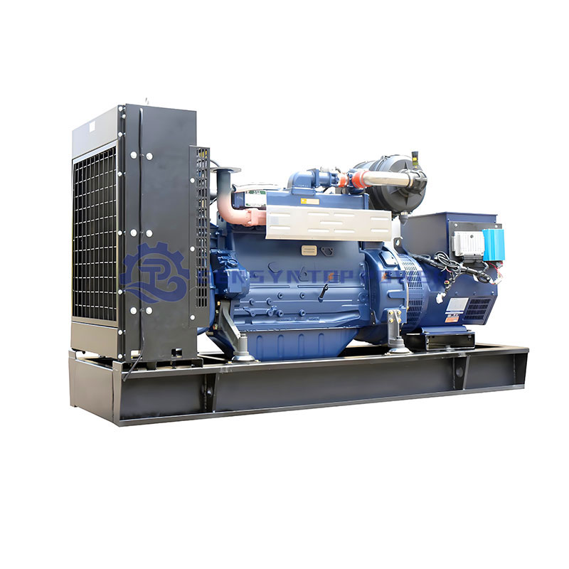 Clean Energy Biogas Generator with 95% Efficiency for Natural Gas Syngas
